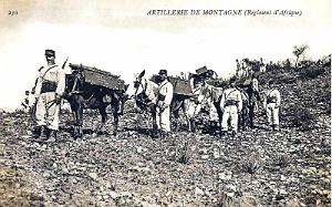 ALGERIE - ARTILLERIE DE MONTAGNE